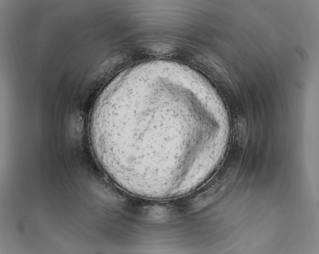 X0000111450412200907271234
