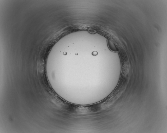 X0000111450413200907271234