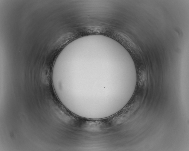 X0000111450414200907271234