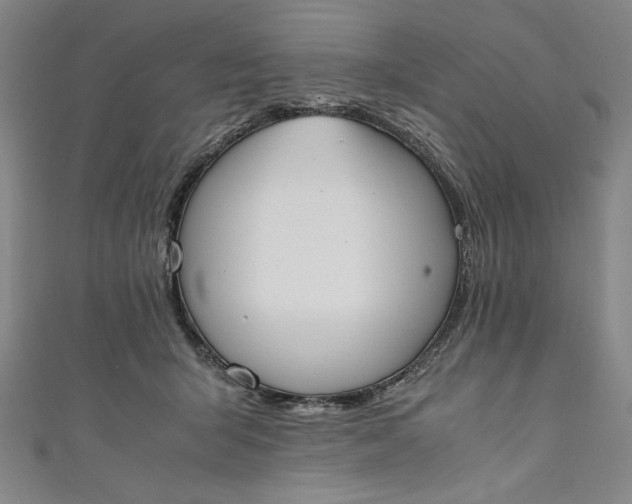 X0000111450415200907271234