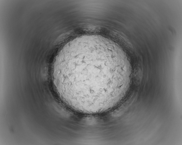 X0000111450416200907271234