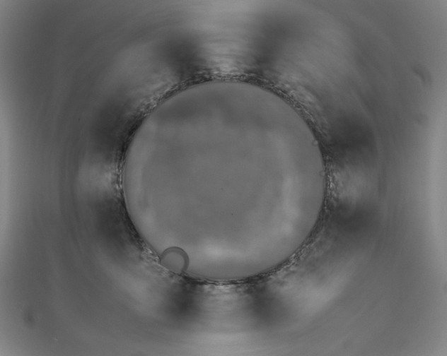 X0000111450419200907271234