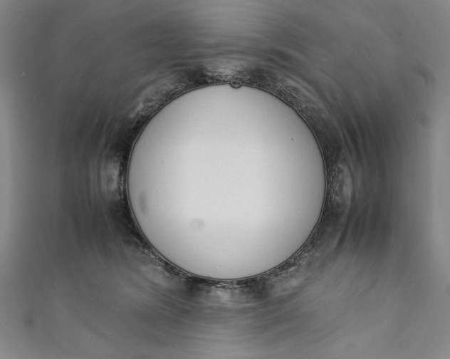 X0000111450420200907271234