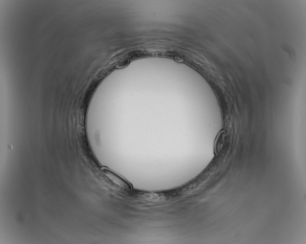 X0000111450421200907271234