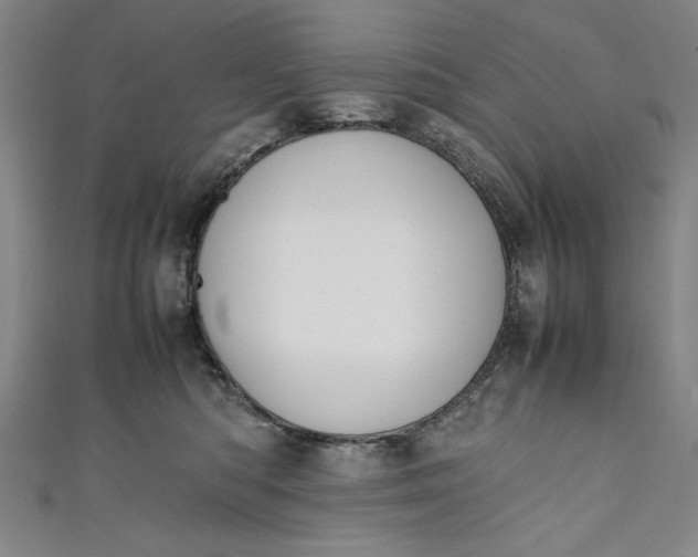 X0000111450422200907271234