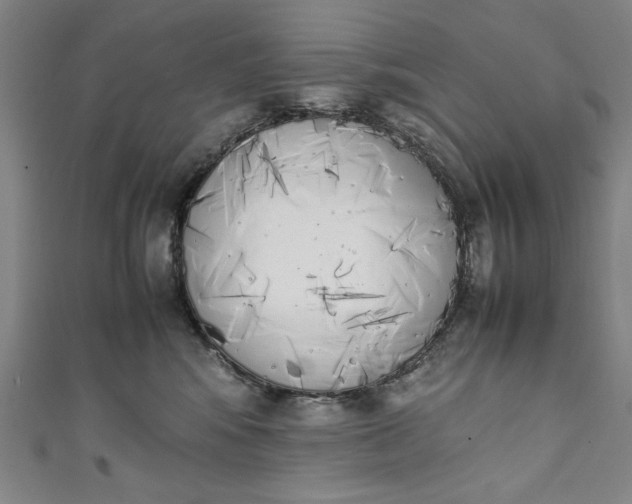 X0000111450424200907271234