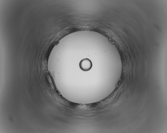 X0000111450425200907271234