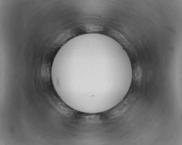 X0000111450426200907271234