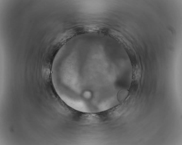 X0000111450427200907271234