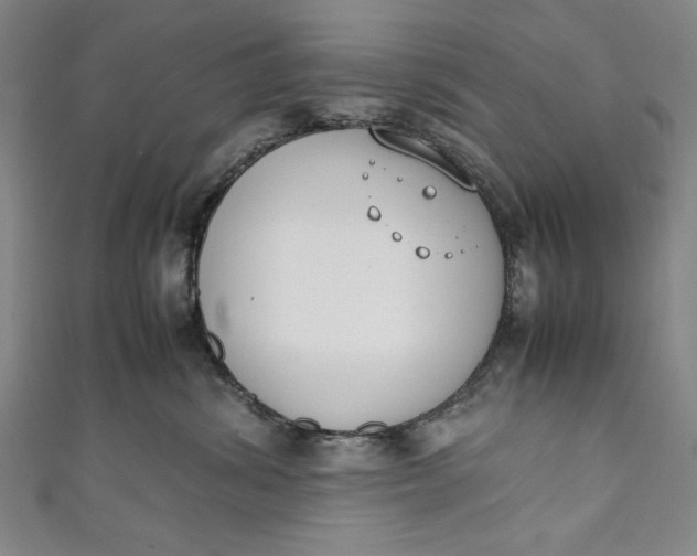 X0000111450428200907271234