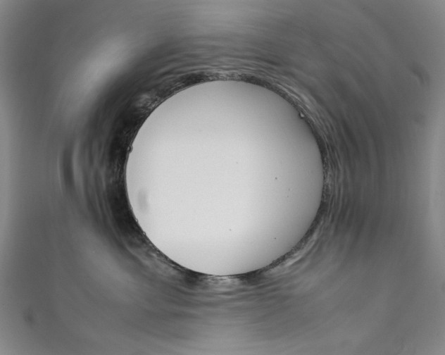 X0000111450429200907271234