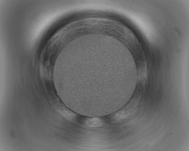 X0000111450431200907271234
