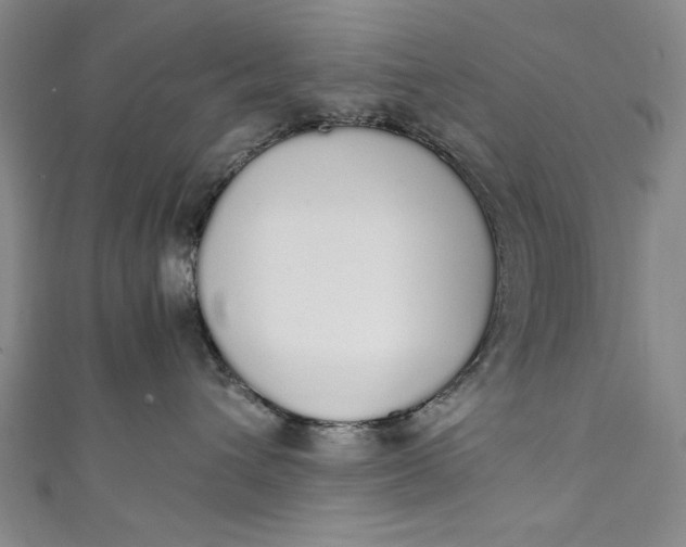 X0000111450432200907271234