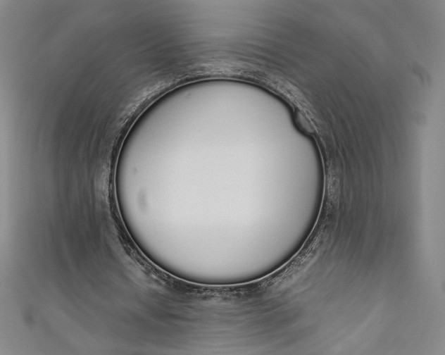 X0000111450434200907271234