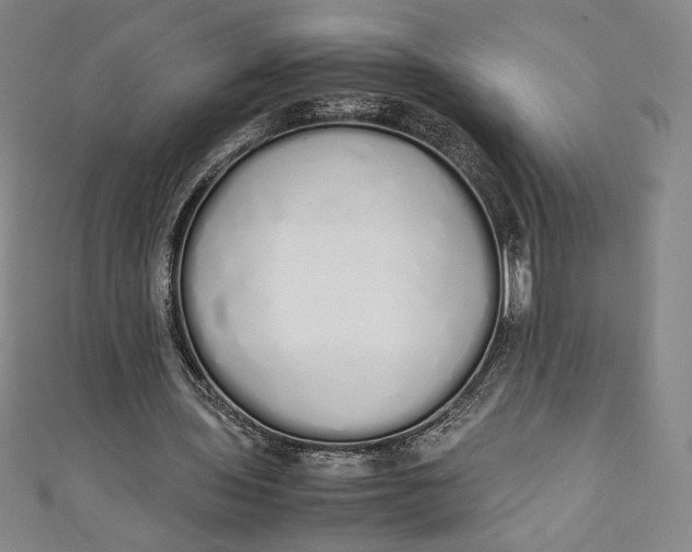 X0000111450435200907271234