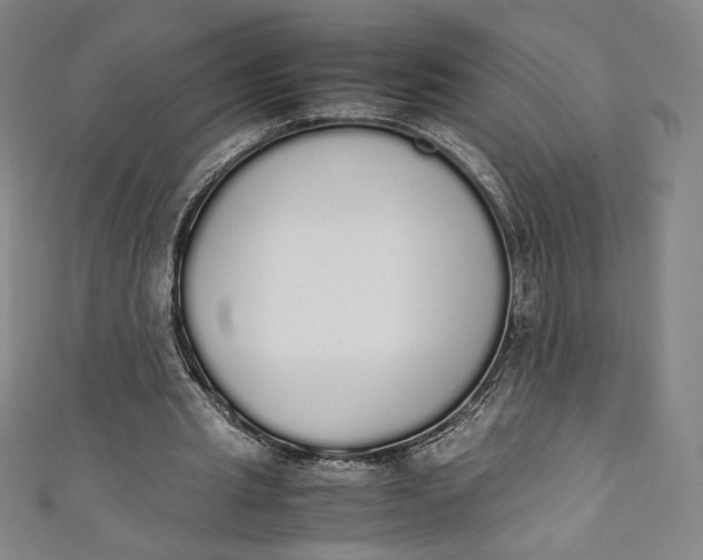 X0000111450437200907271234