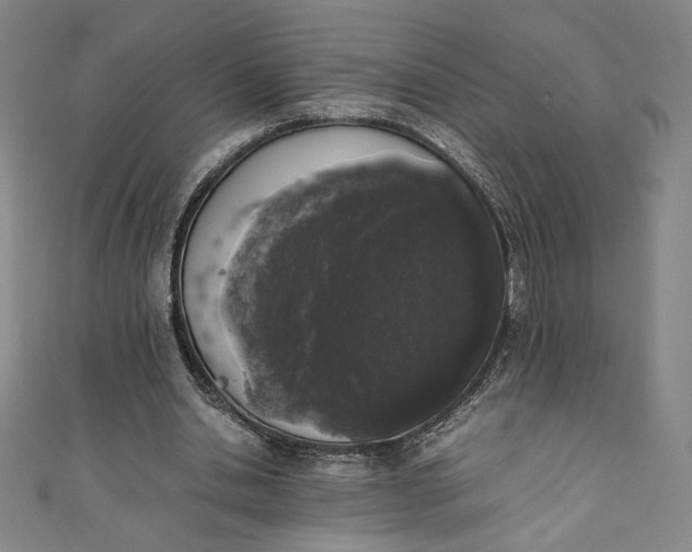 X0000111450438200907271234