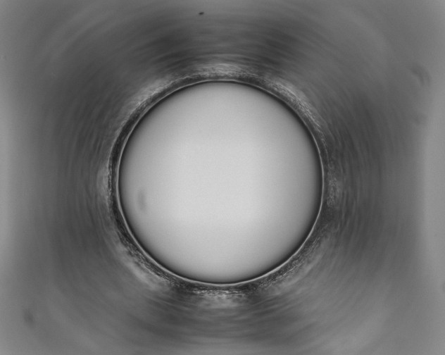 X0000111450439200907271234