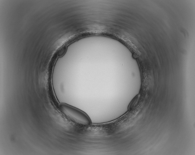 X0000111450440200907271234