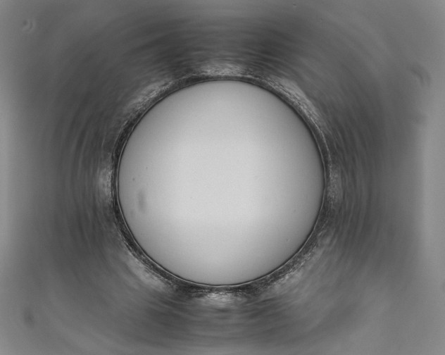 X0000111450441200907271234