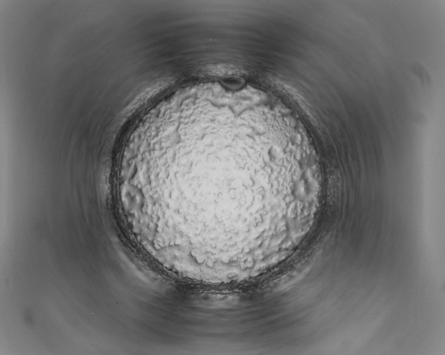 X0000111450443200907271234