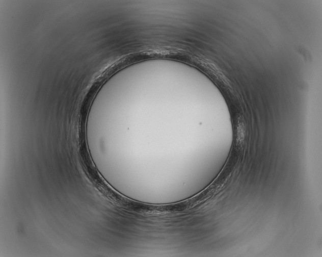 X0000111450444200907271234