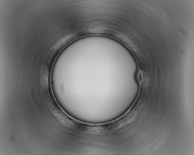 X0000111450446200907271234