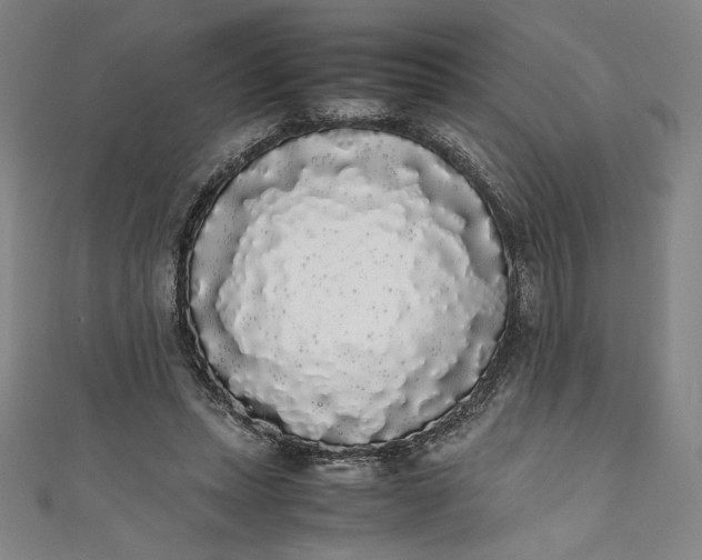 X0000111450447200907271234