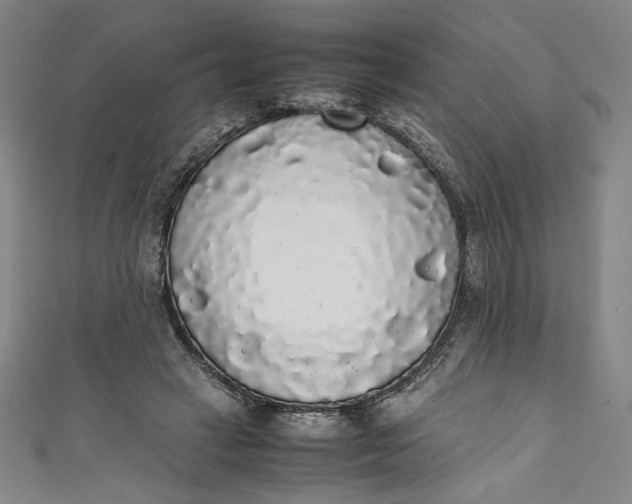 X0000111450449200907271234