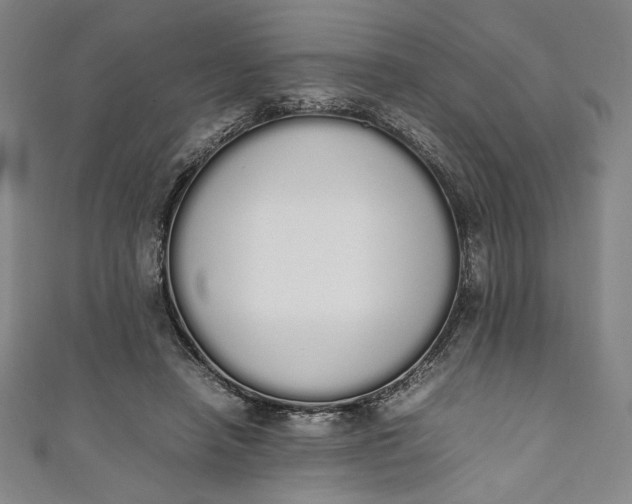 X0000111450450200907271234