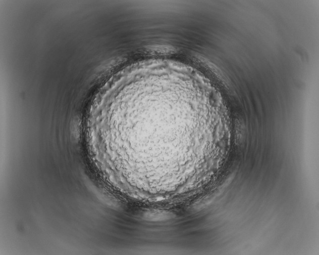 X0000111450451200907271234