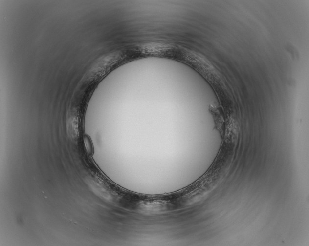 X0000111450452200907271234