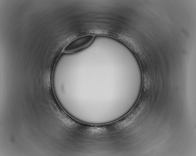 X0000111450453200907271234