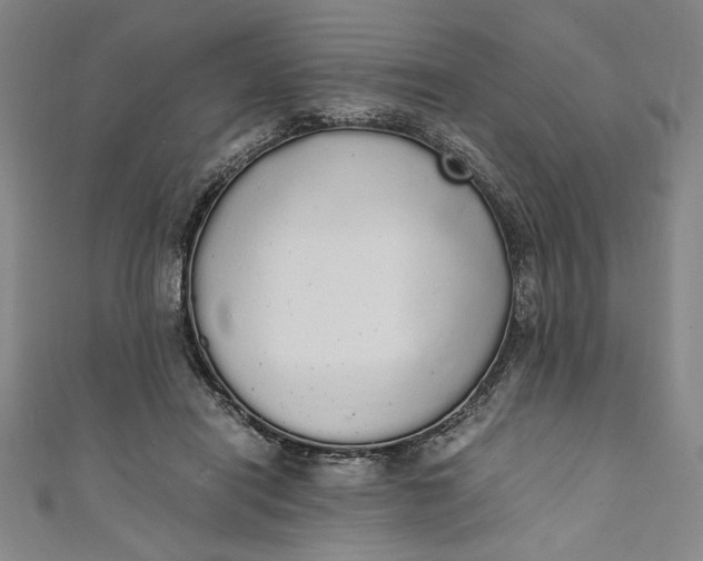 X0000111450454200907271234