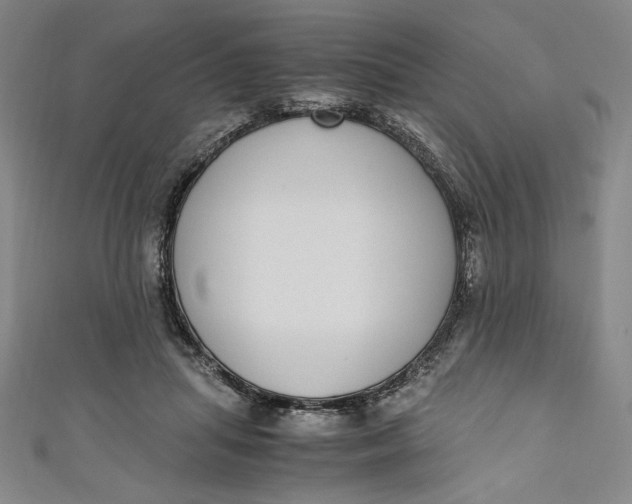 X0000111450455200907271234