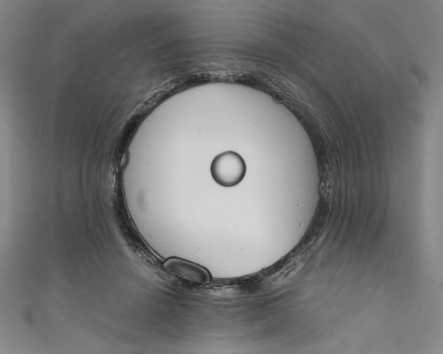 X0000111450456200907271234