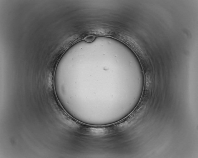 X0000111450457200907271234