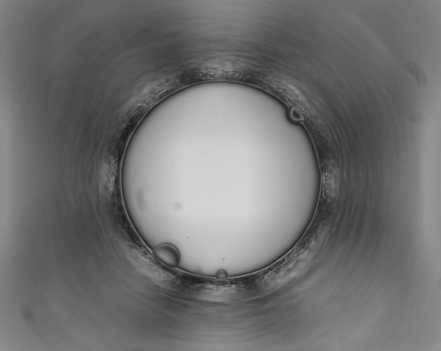 X0000111450458200907271234