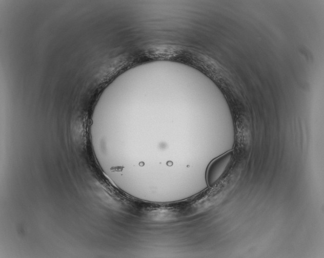 X0000111450460200907271234