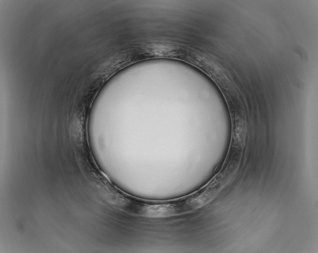 X0000111450461200907271234