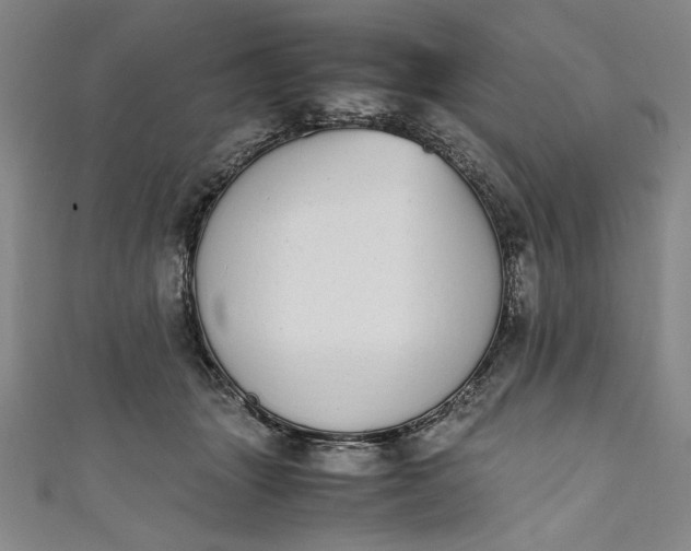 X0000111450463200907271234