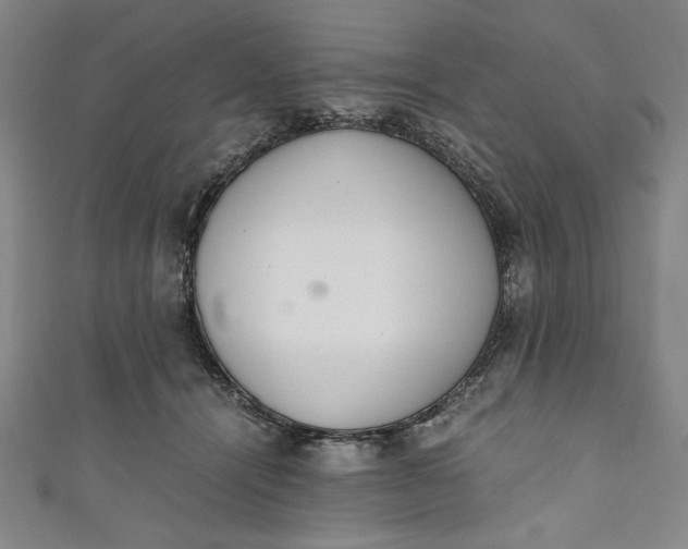X0000111450464200907271234