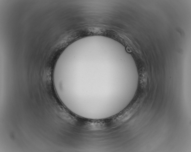 X0000111450466200907271234