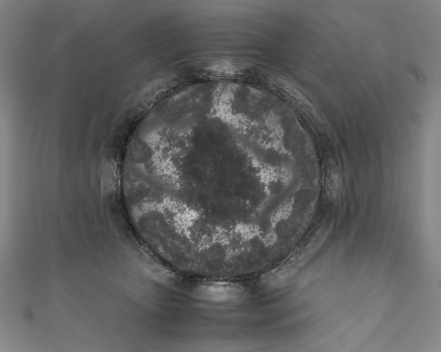 X0000111450467200907271234