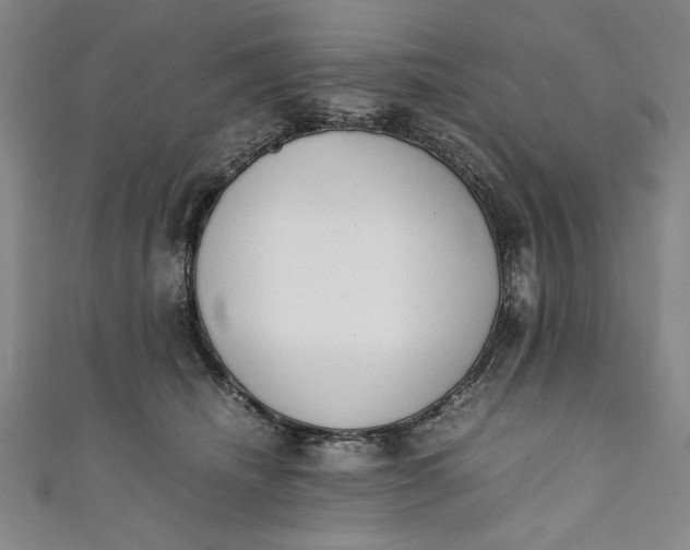 X0000111450468200907271234
