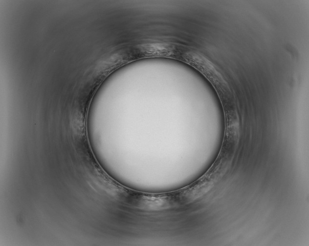 X0000111450469200907271234