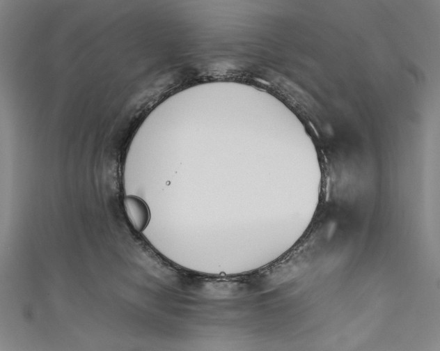 X0000111450470200907271234