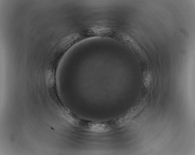 X0000111450471200907271234