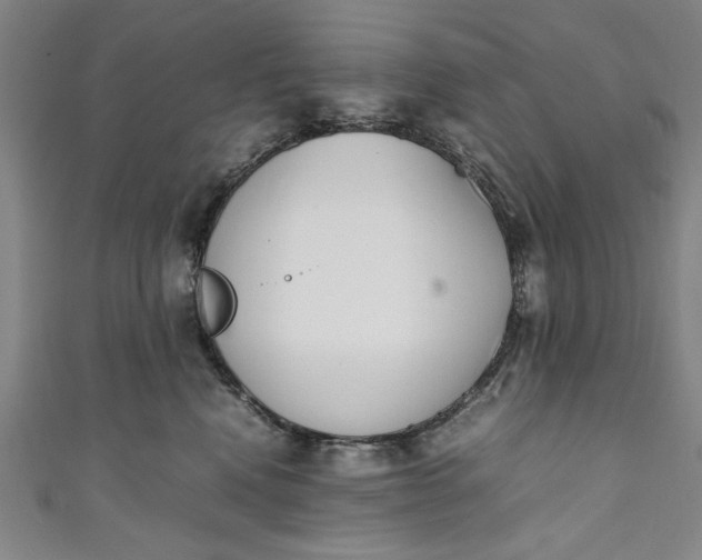 X0000111450472200907271234