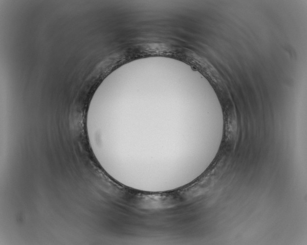 X0000111450473200907271234